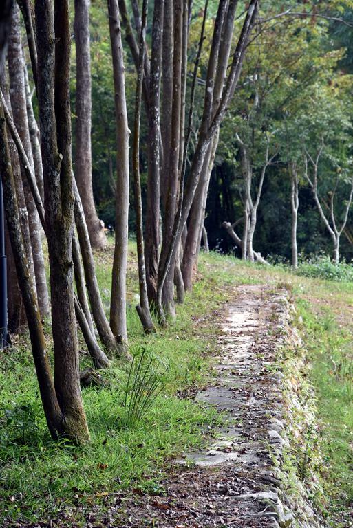 Sun Moon Lake Bamboo Rock Garden Yuchi Exteriör bild