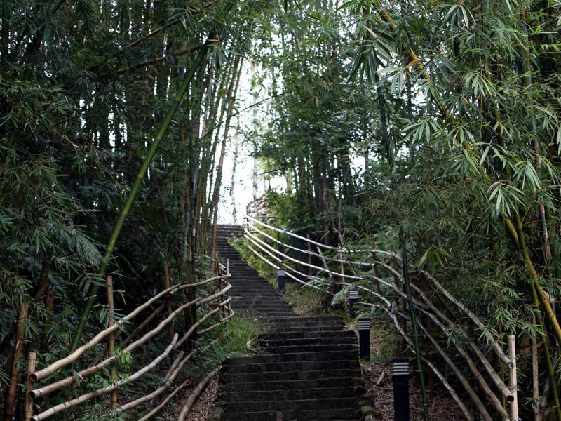 Sun Moon Lake Bamboo Rock Garden Yuchi Exteriör bild
